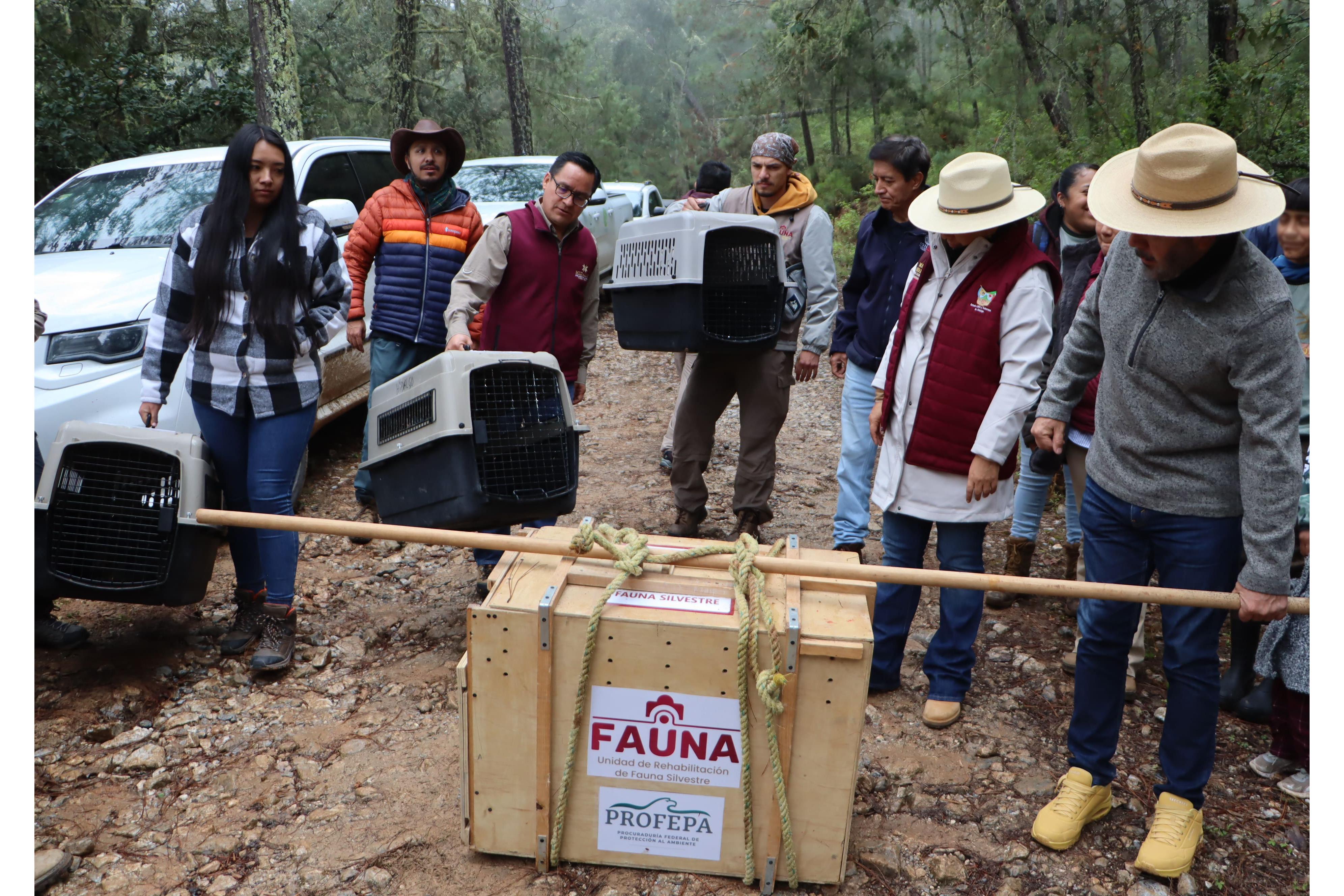 Hidalgo prioriza acciones a favor de su biodiversidad